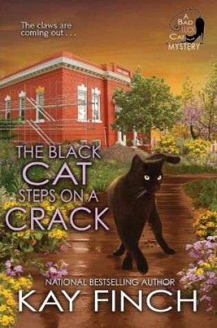 Cover of The Black Cat Steps on a Crack