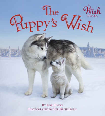 Book cover for The Puppy's Wish