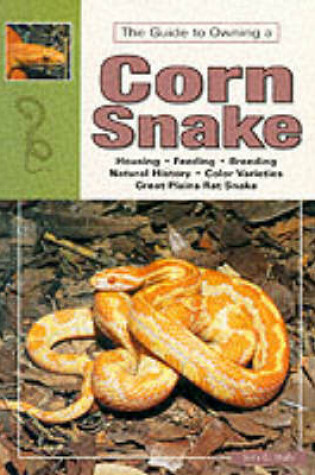 Cover of Corn and Red Rat Snakes