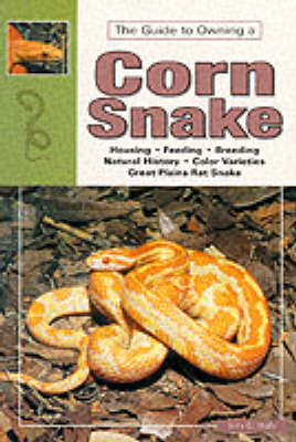 Cover of Corn and Red Rat Snakes