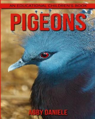 Book cover for Pigeons! An Educational Children's Book about Pigeons with Fun Facts & Photos