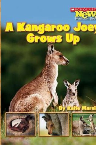 Cover of A Kangaroo Joey Grows Up