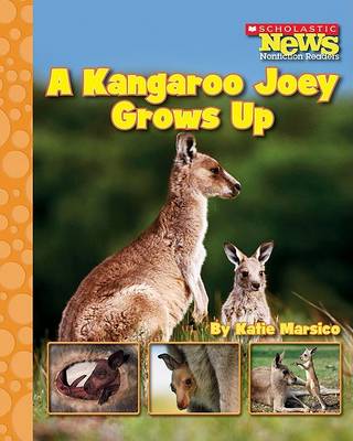Book cover for A Kangaroo Joey Grows Up