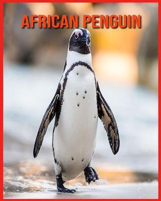 Book cover for African Penguin