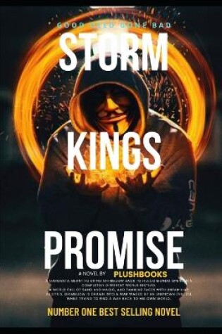 Cover of Storm Kings Promise