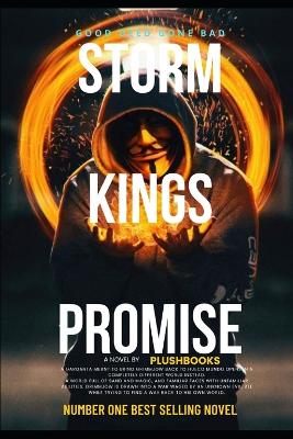 Book cover for Storm Kings Promise