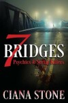 Book cover for Seven Bridges