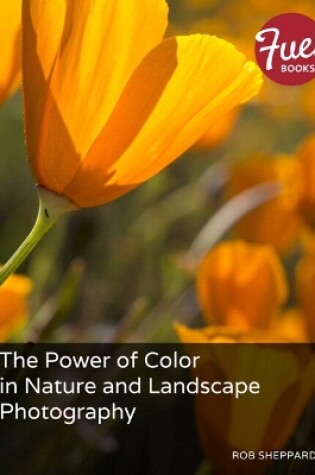 Cover of Power of Color in Nature and Landscape Photography, The