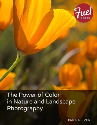 Book cover for Power of Color in Nature and Landscape Photography, The