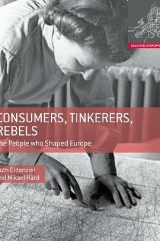 Cover of Consumers, Tinkerers, Rebels