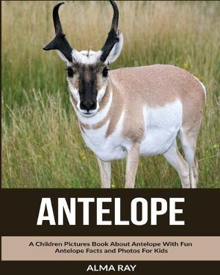 Book cover for Antelope