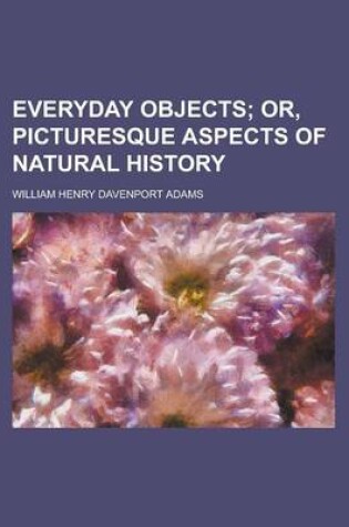 Cover of Everyday Objects; Or, Picturesque Aspects of Natural History