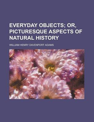 Book cover for Everyday Objects; Or, Picturesque Aspects of Natural History