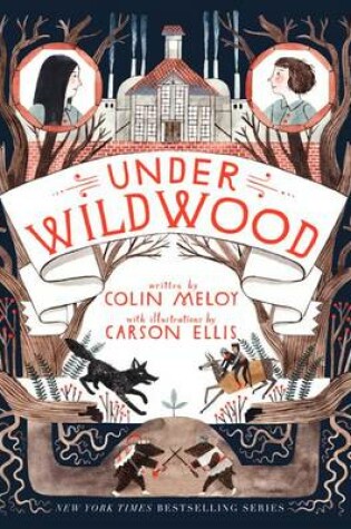 Cover of Under Wildwood