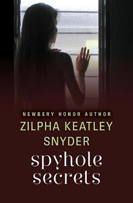 Book cover for Spyhole Secrets
