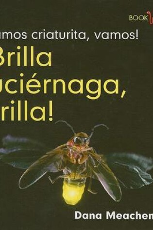 Cover of �Brilla, Luci�rnaga, Brilla! (Flash, Firefly, Flash!)