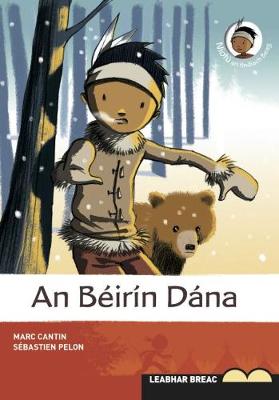 Book cover for An Béirín Dána