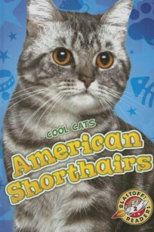 Cover of American Shorthairs