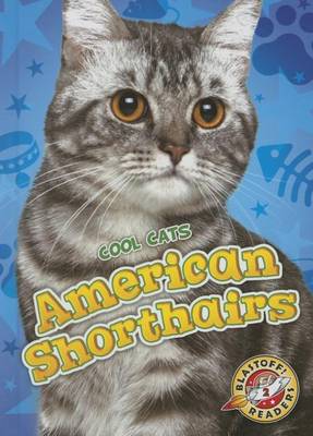 Book cover for American Shorthairs