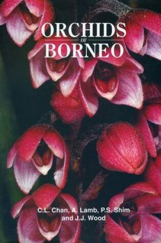 Cover of Orchids of Borneo Volume 1