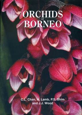 Cover of Orchids of Borneo Volume 1