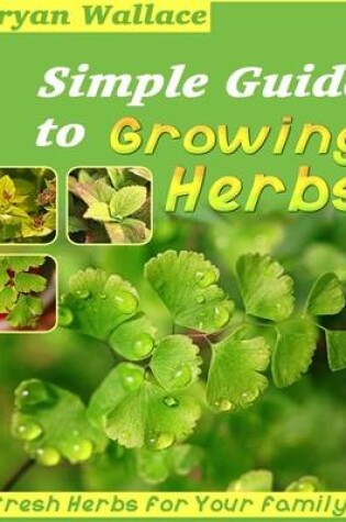 Cover of Simple Guide to Growing Herbs - Fresh Herbs for Your Family!