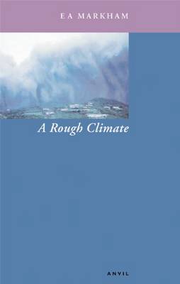 Book cover for A Rough Climate