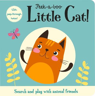 Book cover for Peek-A-Boo Little Cat!