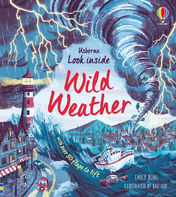 Book cover for Look Inside Wild Weather