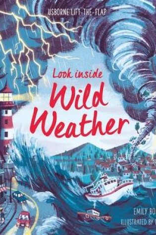 Cover of Look Inside Wild Weather