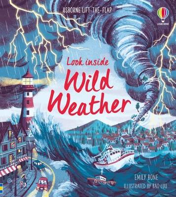 Cover of Look Inside Wild Weather