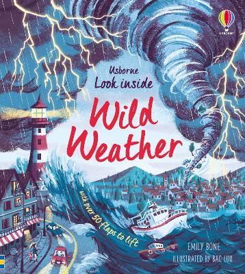 Cover of Look Inside Wild Weather