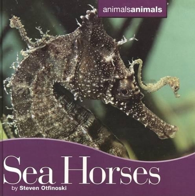 Book cover for Seahorses