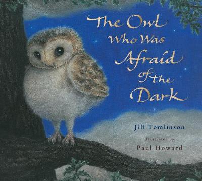 Book cover for DEAN The Owl Who Was Afraid of the Dark