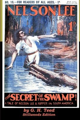 Book cover for The Secret of the Swamp