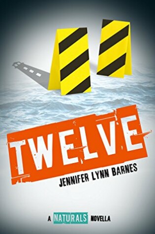 Cover of Twelve