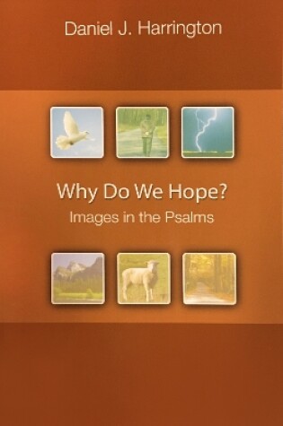 Cover of Why Do We Hope?