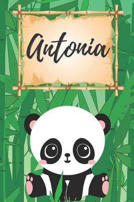 Cover of personalisiertes Notizbuch Panda / Malbuch / Kritzelbuch / Tagebuch / Journal / Notizheft / DIN A5 / Geschenke Antonia