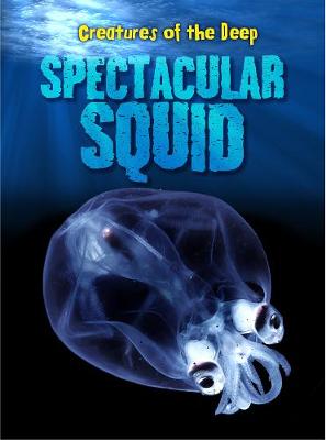 Book cover for Spectacular Squid