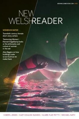 Cover of New Welsh Reader 119, Winter 2018