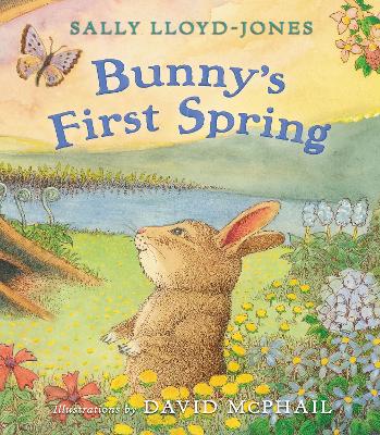Book cover for Bunny's First Spring