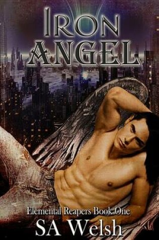 Cover of Iron Angel