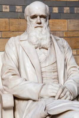 Book cover for Charles Darwin Marble Statue in the Natural History Museum London England