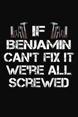 Book cover for If Benjamin Can't Fix It We're All Screwed