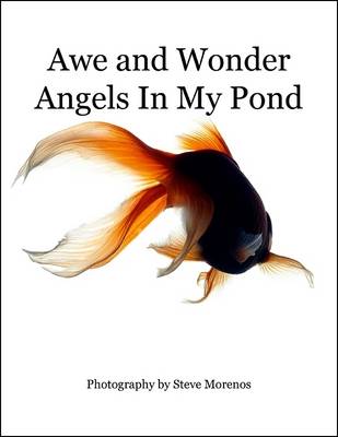 Book cover for Awe and Wonder Angels In My Pond