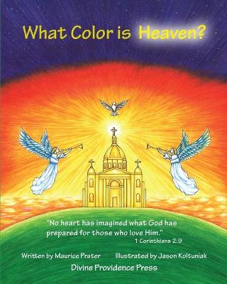 Book cover for What Color Is Heaven?