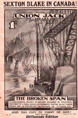 Cover of The Broken Span