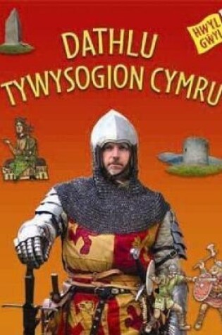 Cover of Hwyl Gŵyl: Dathlu Tywysogion Cymru
