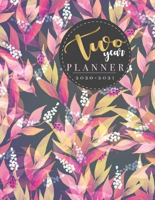 Book cover for Two year Planner 2020-2021