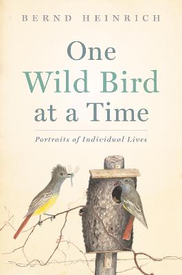 Book cover for One Wild Bird at a Time